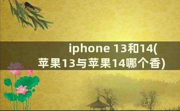 iphone 13和14(苹果13与苹果14哪个香)